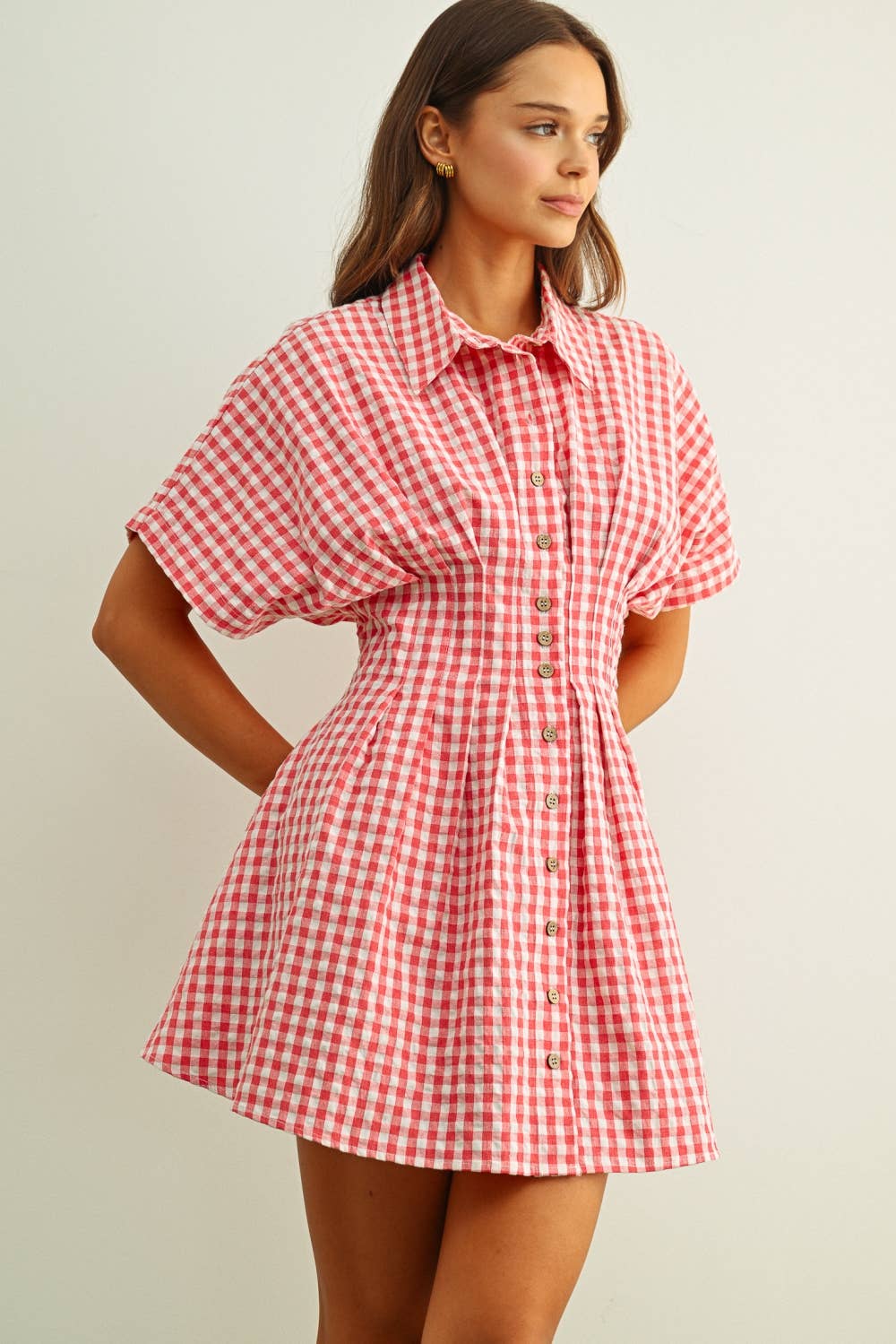 Gingham Dress
