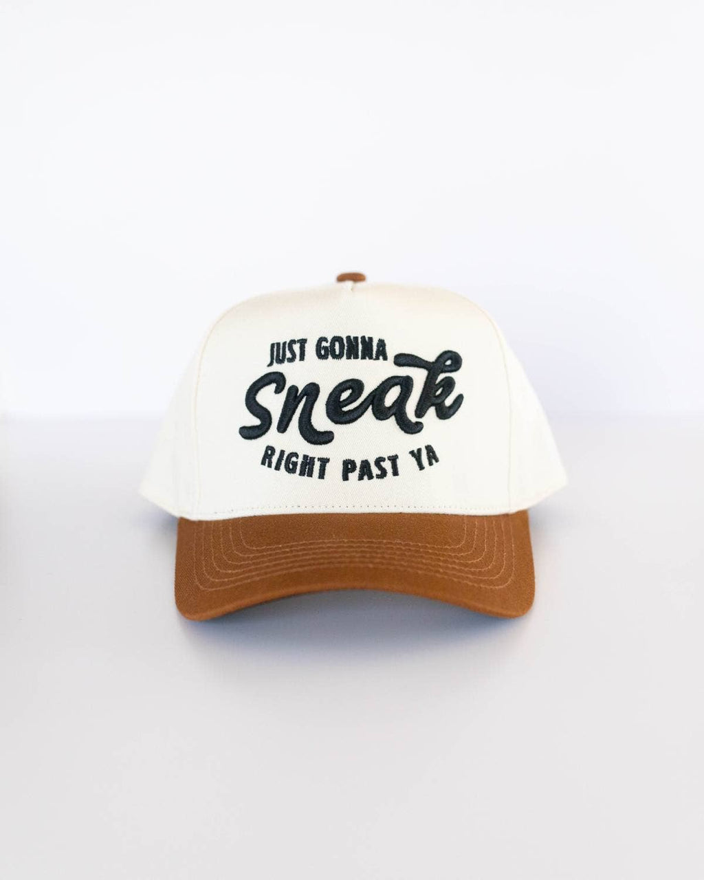 Just Gonna Sneak Right Past Ya Hat - Brown & Black